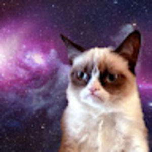 Meet your Posher, Mariah